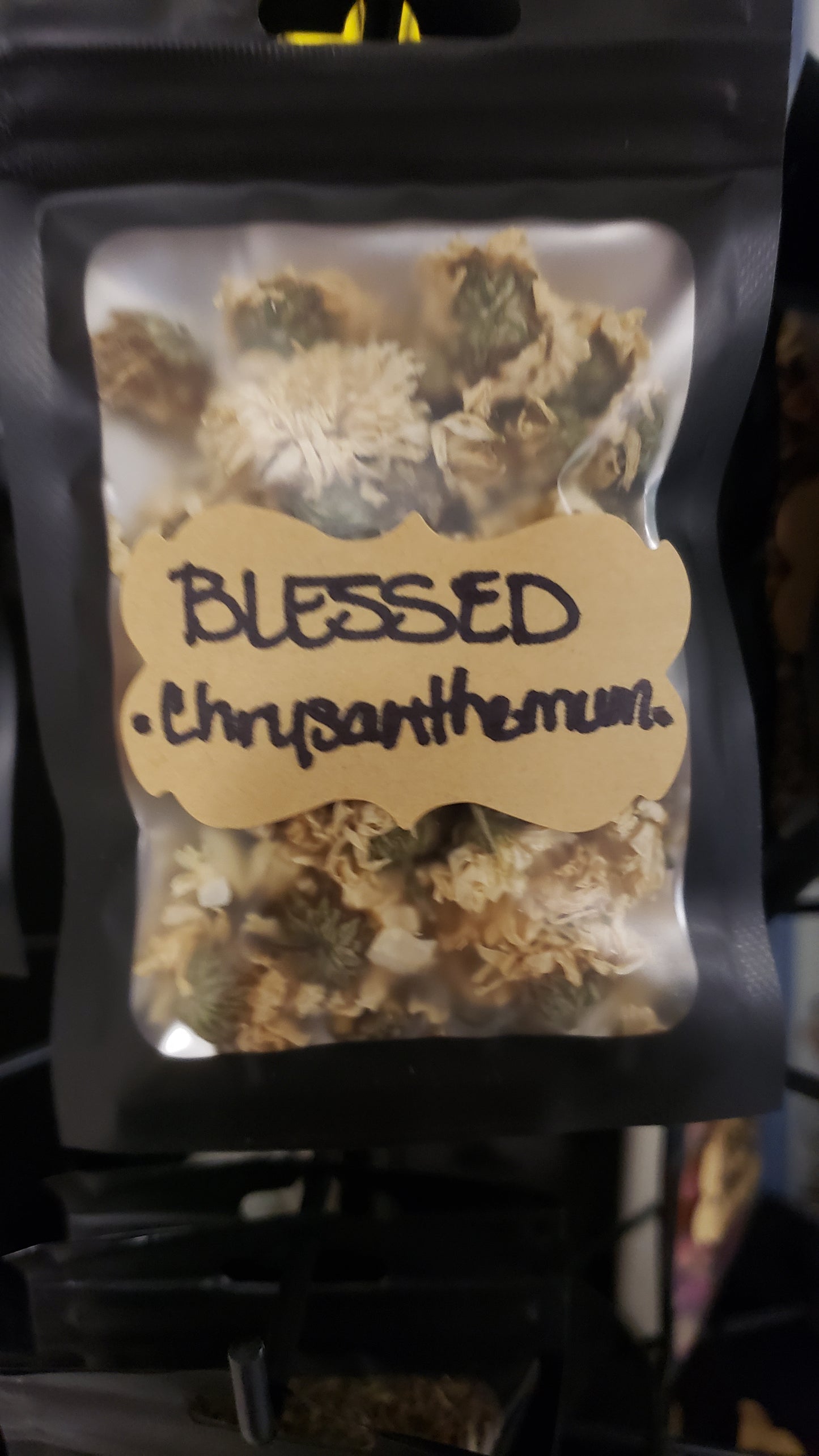 Blessed Chrysanthemum